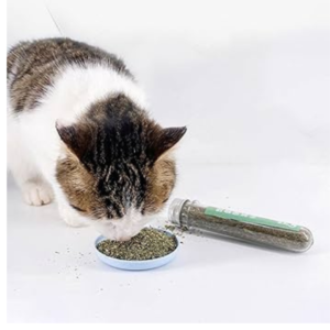 Catnip Grass Test Tube Catnip Leaf Powder Dry Leaves for Pet Cat 40ml