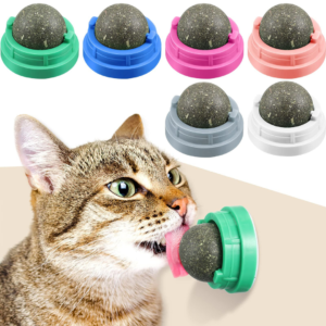 Rotatable Catnip Wall Ball for Adult & Kitten Chewing & Teeth Cleaning