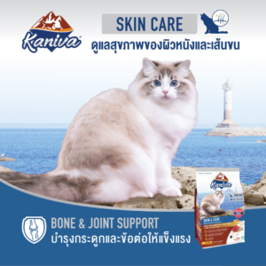 Kaniva Skin & Coat Cat Dry Food For All Ages 1.3kg